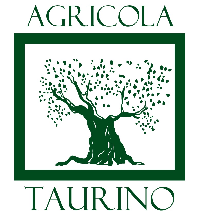 logo taurino