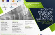 INCENTIVI REGIONALI, GARANZIE E CREDITO ALLE IMPRESE